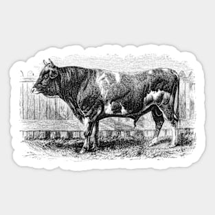 Jersey Bull Black and White Vintage Illustration Sticker